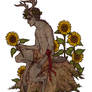 Sunflower Satyr