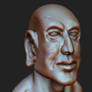 Head sculpting earning