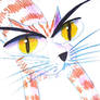 Gato Rigoberto