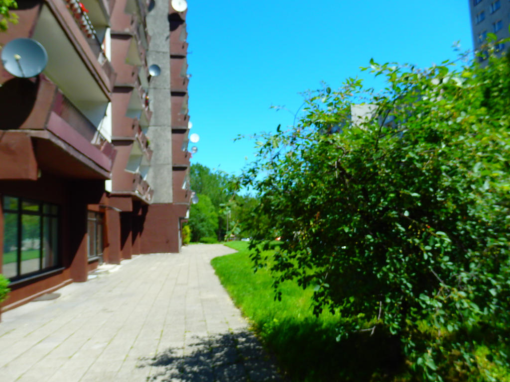 Life like game by WojciechW1999 on DeviantArt