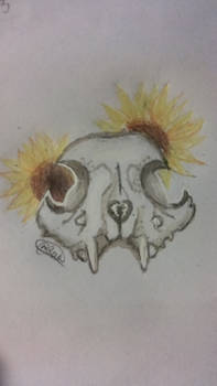 Skulls 'n Flowers