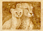 The Cheetah-es by LadyTinuz