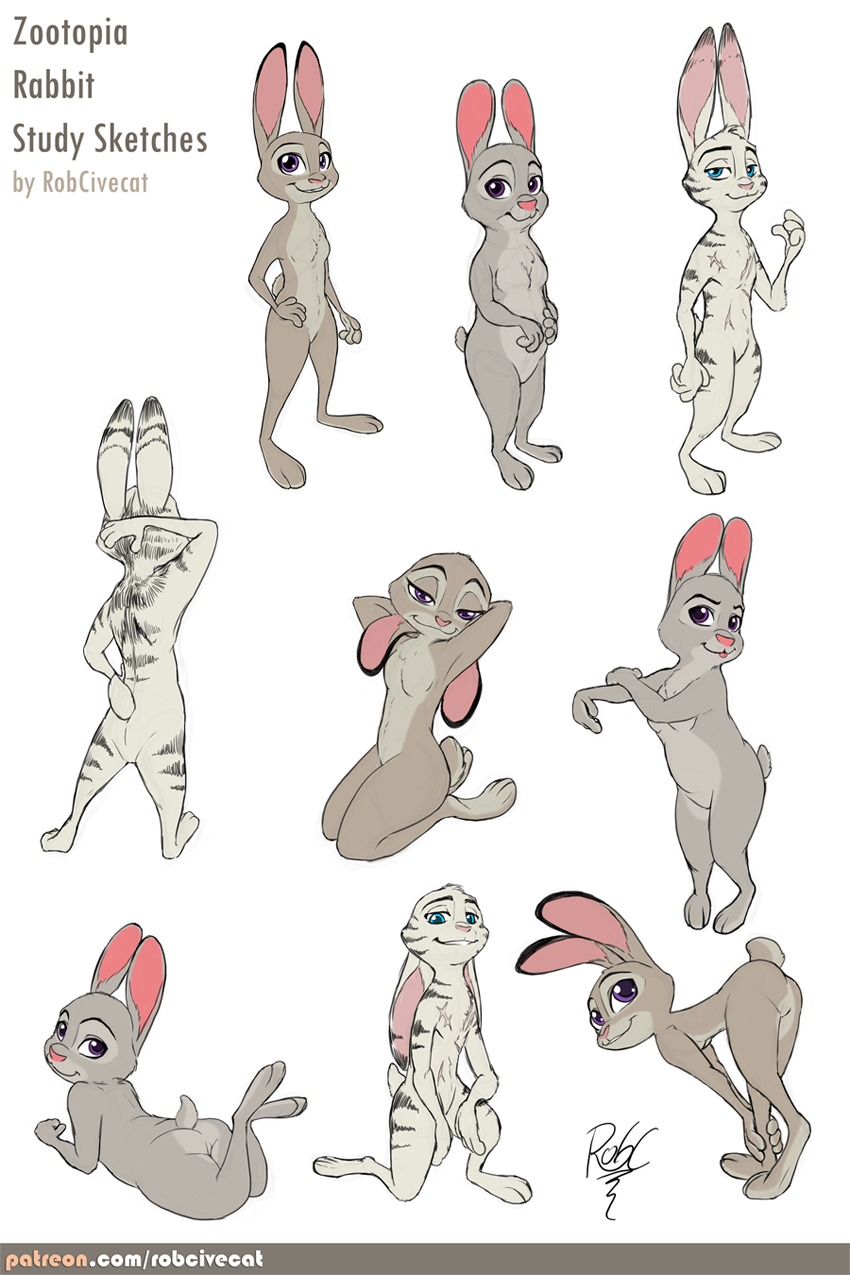 Zootopia Rabbit Drawing Zootopia Rabbit Study Sketches by RobCivecat on DeviantArt