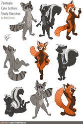 Zootopia Study Sketches - Cute Critters