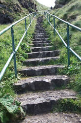 steps