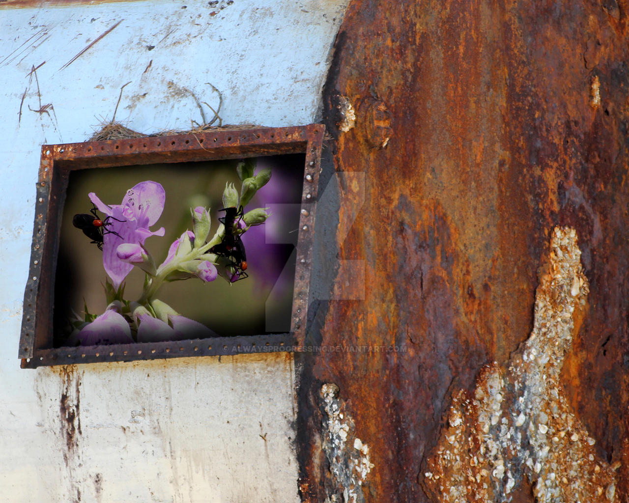 Window In Rust by AlwaysProgressing on DeviantArt