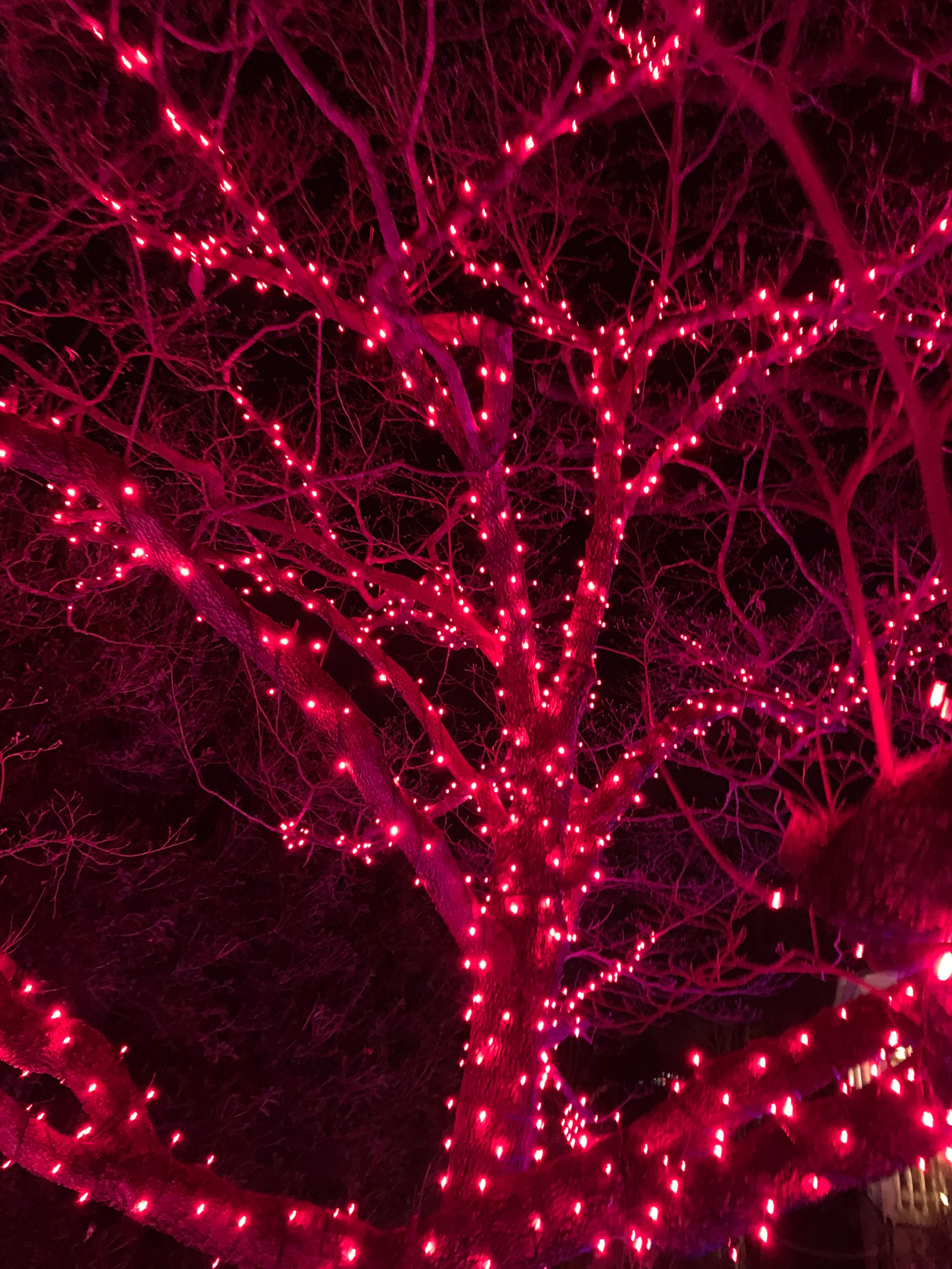 Ruby bright by Kiri-n on DeviantArt