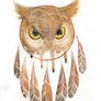 Owl dreamcatcher