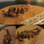Tentacle Stinger