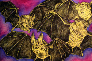 Bats!