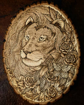 Wood Burnt Lion
