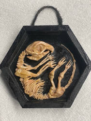 Dead Rat Sculpture Shadowbox