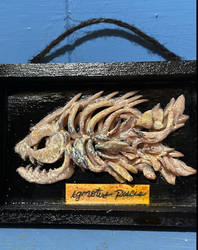 Creepy Weird Fish 2