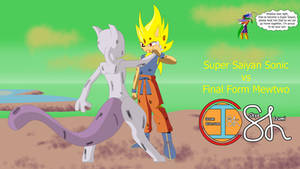 Super Saiyan Sonic vs Final Form Mewtwo