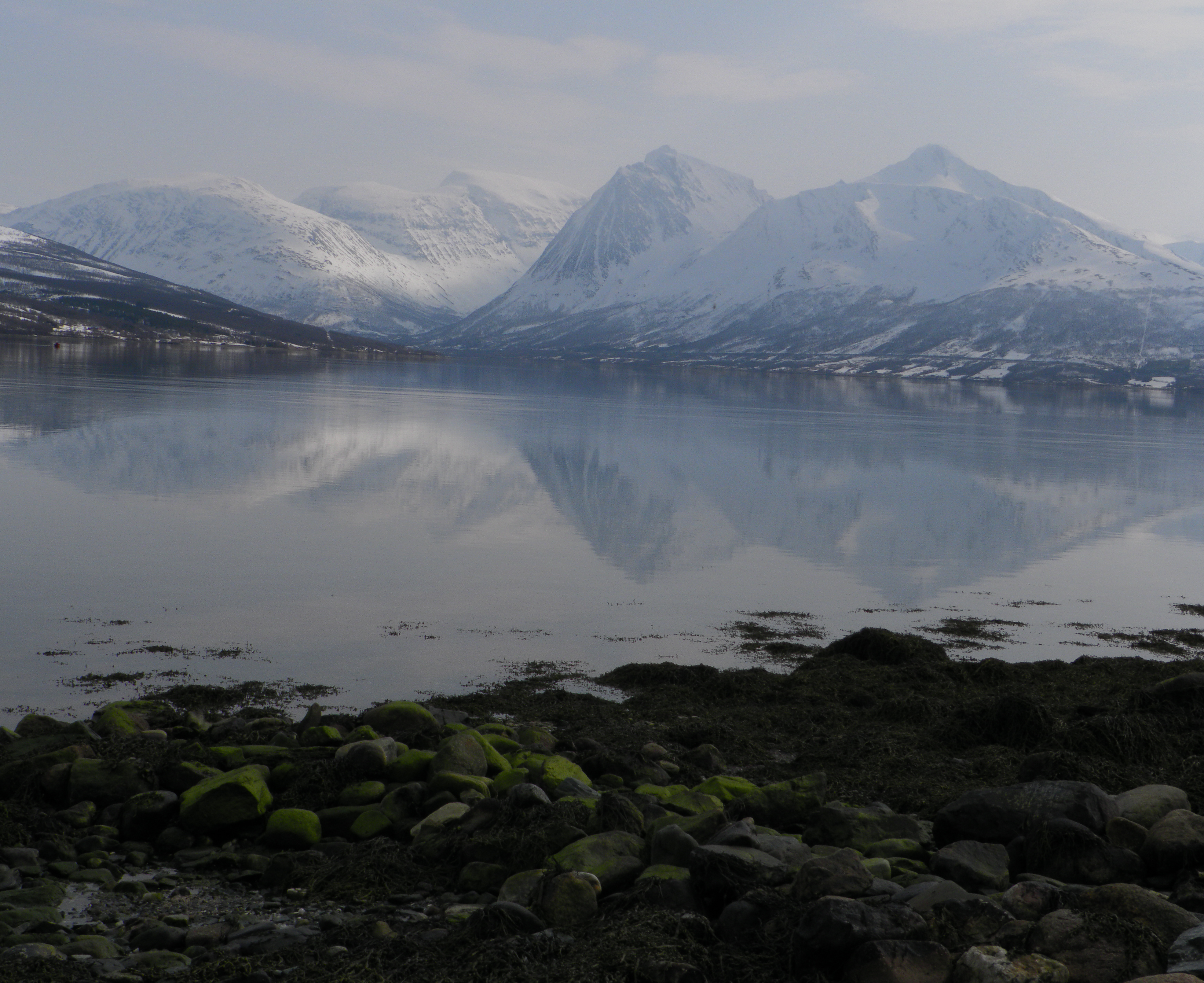 Reflection of mountains