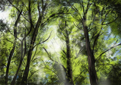 Trees Speedpainting