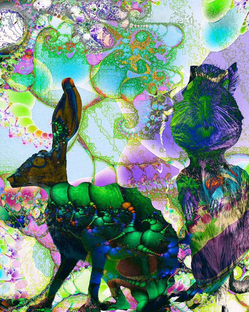 Art Rabbet Rabbet And Gofer Image V2 - 72dpi by don3d on DeviantArt