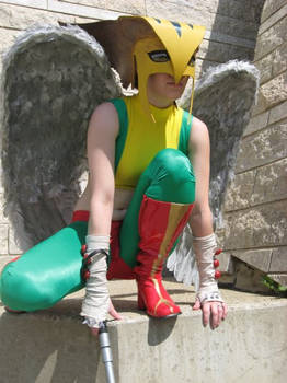 Hawkgirl Costume 4