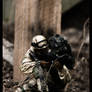 Desert Storm