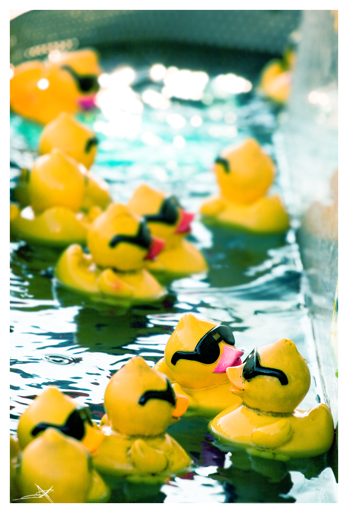 Reservoir Ducks