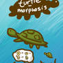 Turtle-Morphosis