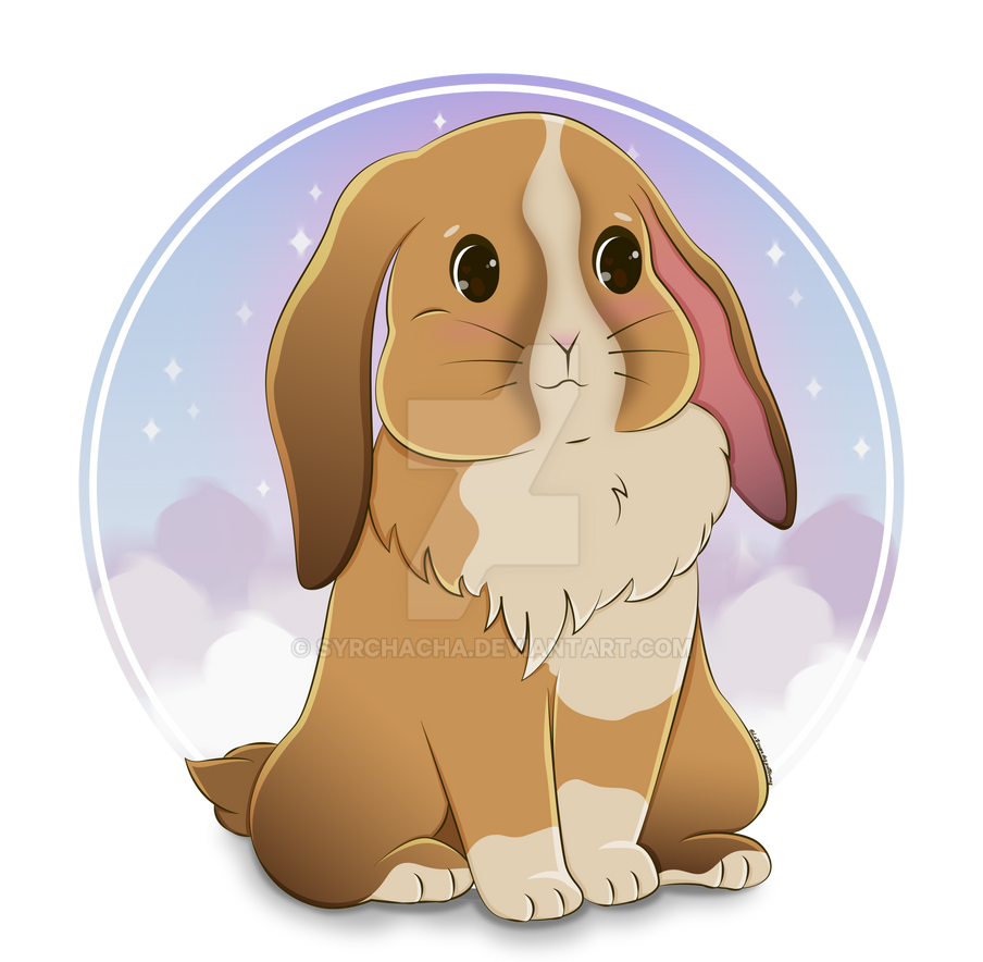 Hila Rabbit Mila The Lop Rabbit by Syrchacha on DeviantArt