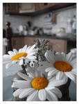 The Kitchen by Flowerinka by flower-club