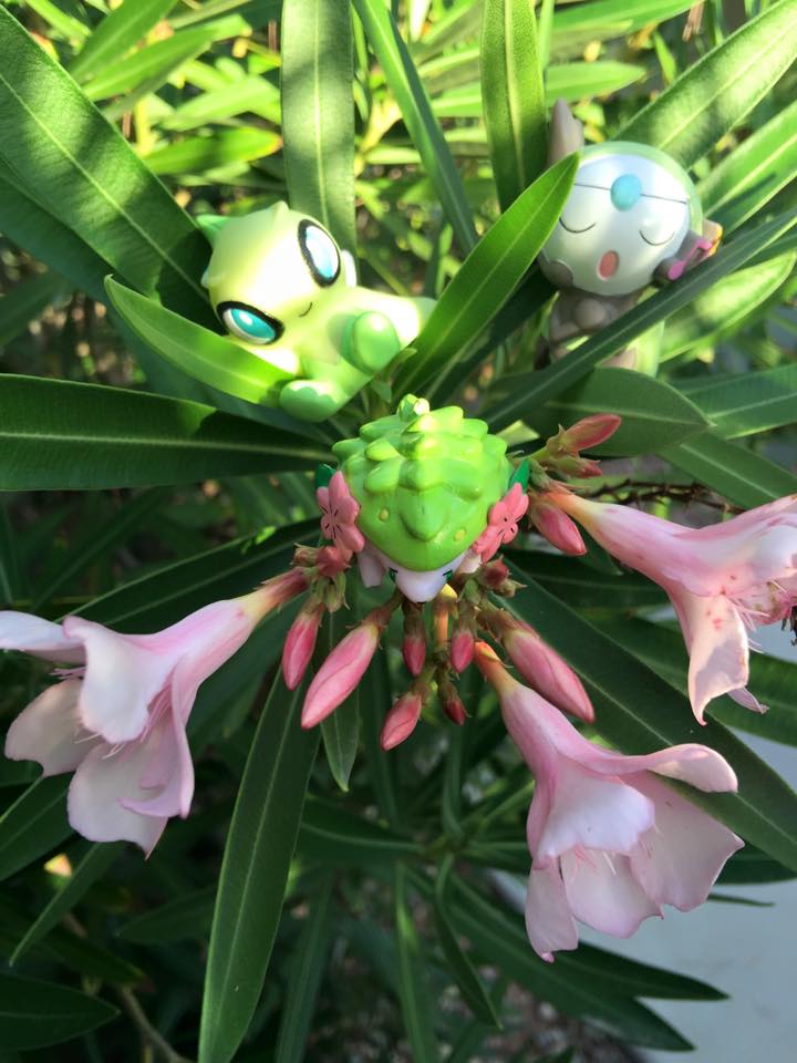 Tending to the Gricidea Flowers!