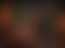 Reptile wins - Fatality (Cammy)