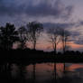 A Pond's Sunset