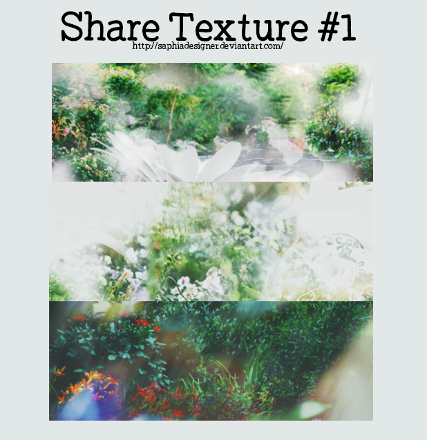 SHARE TEXTURE #1