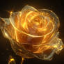 Sparkling golden rose