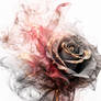 Smoky rose