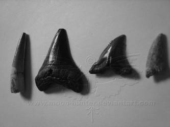 Ancien teeth