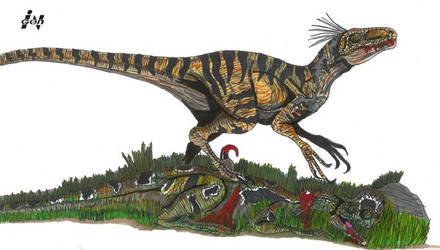 JP Raptor Vs Dilophosaurus
