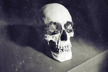 skull - 2