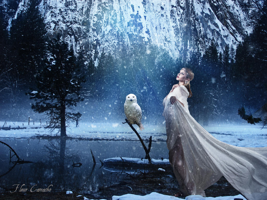 Echos of Winter by FleurCamacho