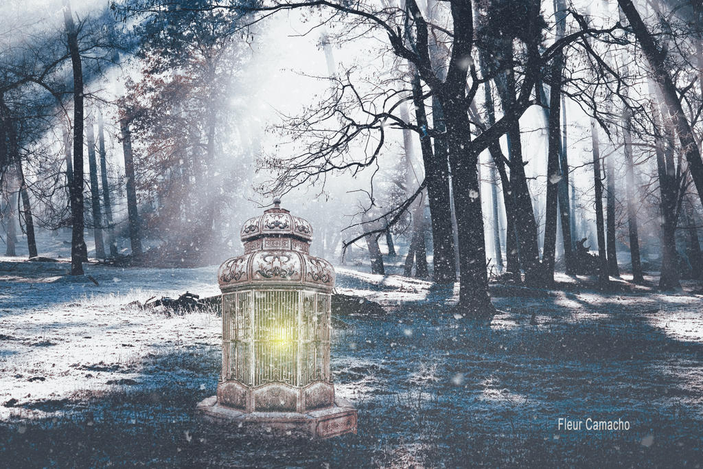 Light in the Cold by FleurCamacho