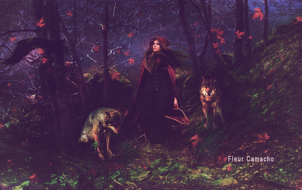 Robin Red by FleurCamacho