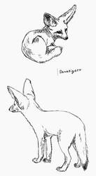 Fennec Fox Sketches