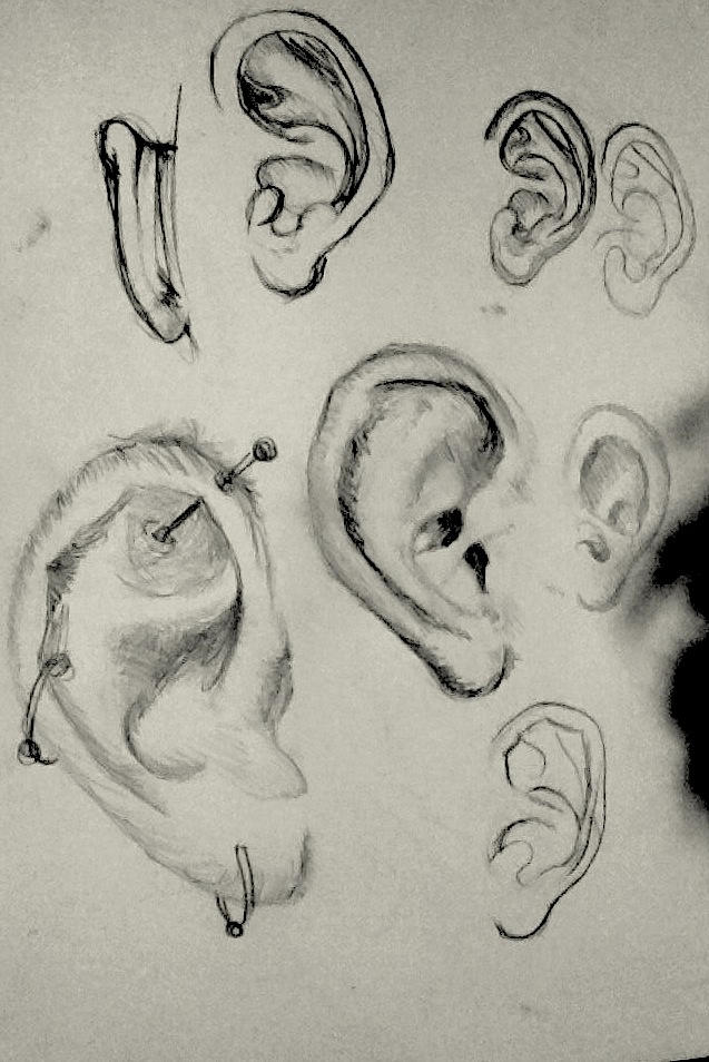 Ear study by H-o-s-t on DeviantArt
