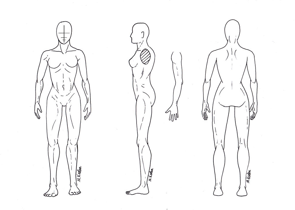 Body Base Normal Human Base - female by LupaSola on DeviantArt