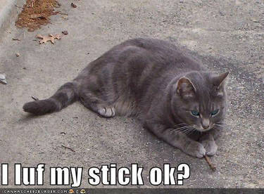 Jayfeather And The Stick
