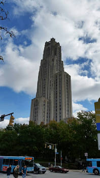 the Cathedral of learning 