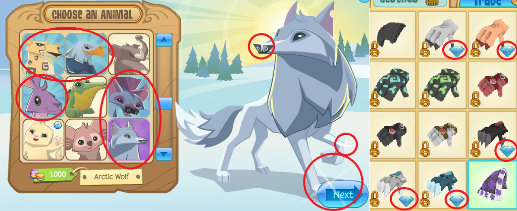 Animal Jam 2013 Animal Jam 2013