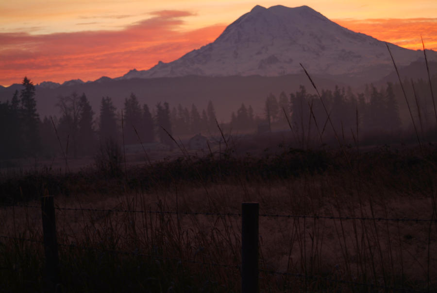 Rainier Sunrise