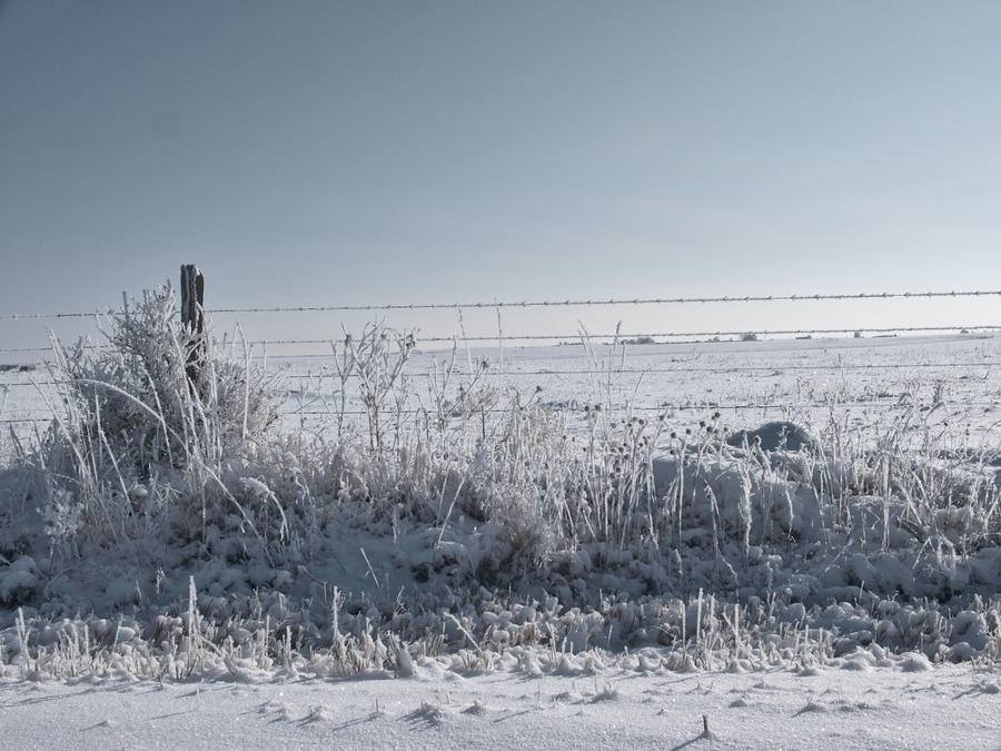 snowy fence 12