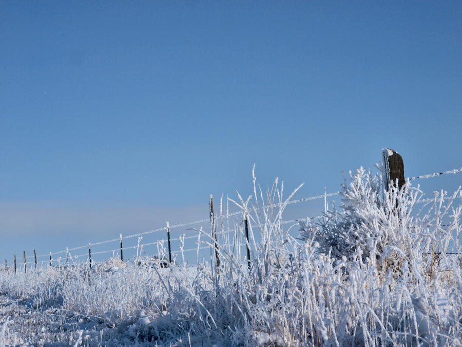 snowy fence 16