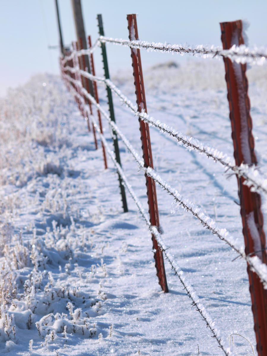 snowy fence 17