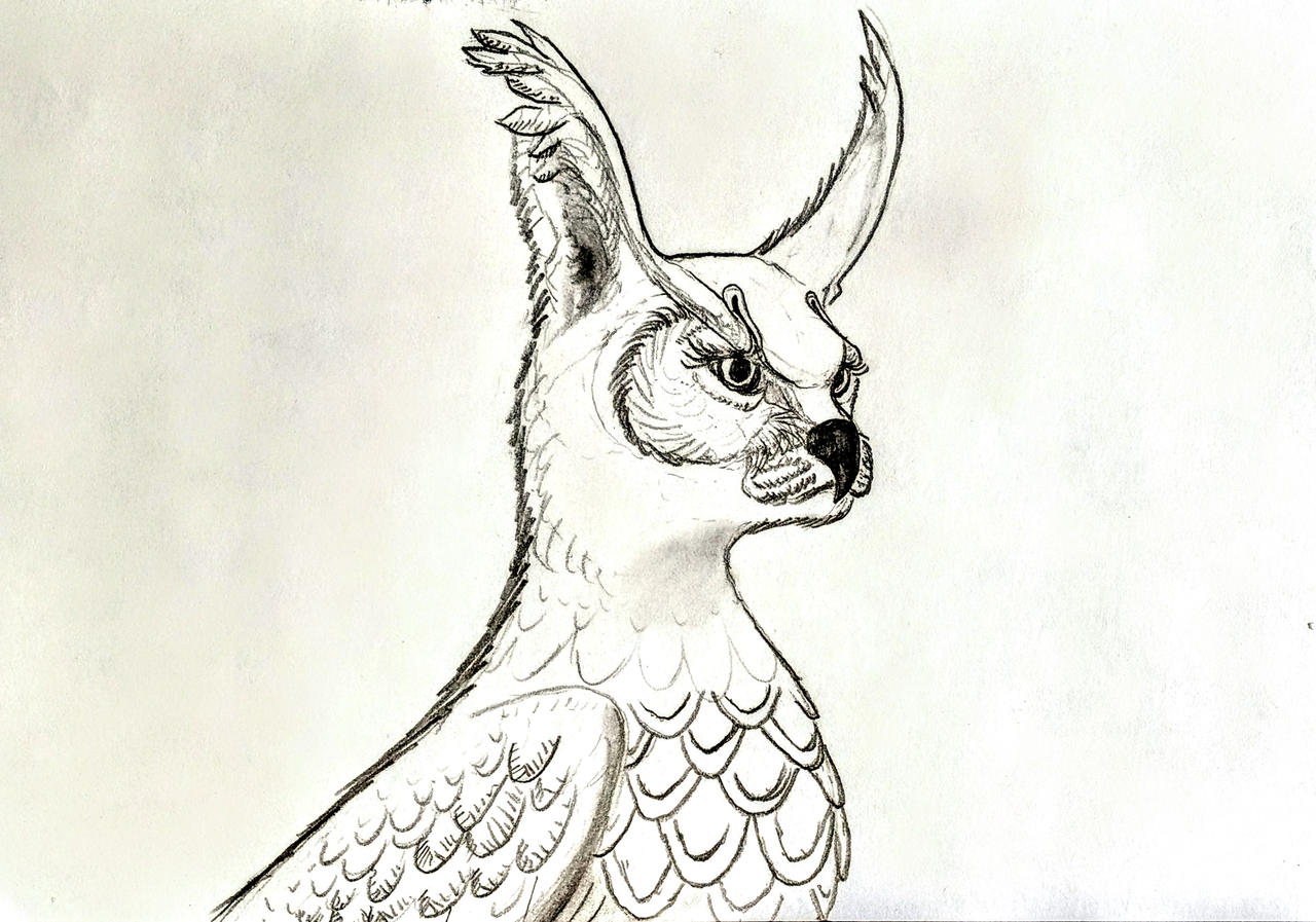 Griffin Profile by IDrewYouThisDinosaur on DeviantArt